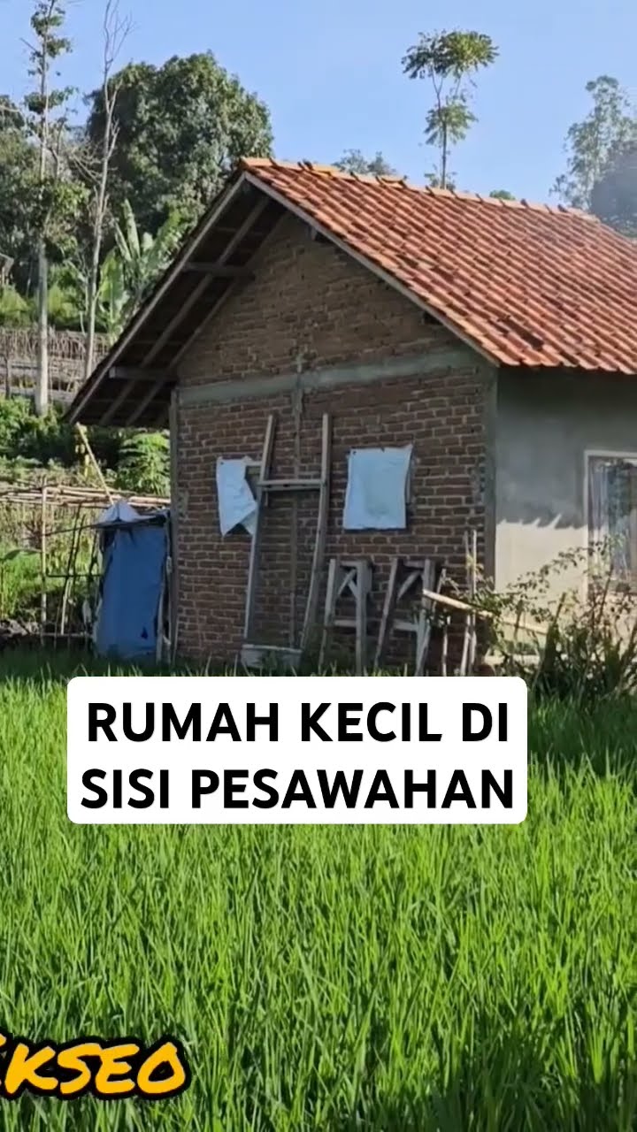 Rumah Kecil Di Pesawahan